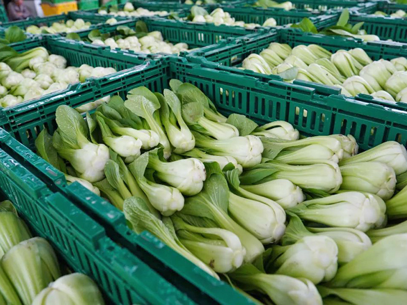 <b>塑料（liào）周轉筐應用於超市（shì）菜</b>